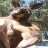 Kangaroo_Jack3D