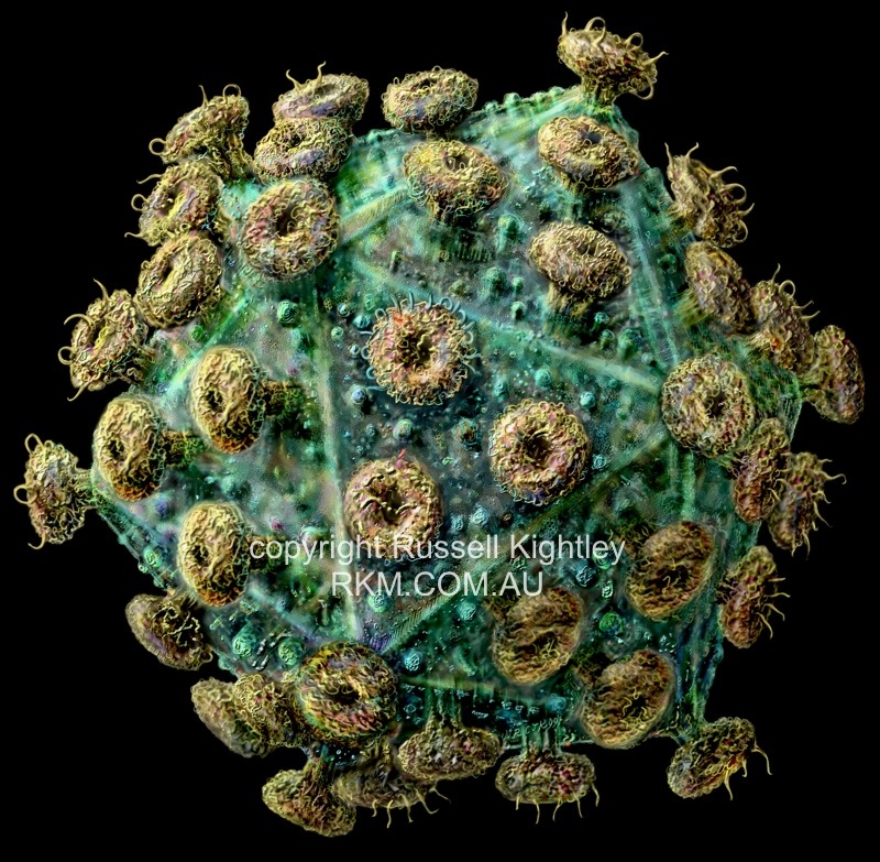 VIRUS-HIV-L-black-800.jpg