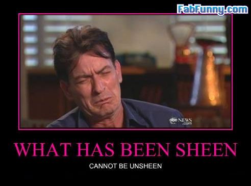 funny-celebrity-pictures-what-has-been-sheen.jpg