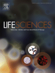 www.sciencedirect.com