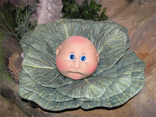 dangerous-toys-cabbage.jpg