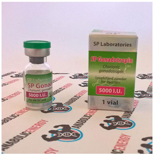 sp-gonadotropin-5000-iu-500x505.jpg