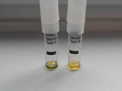 Nandrolone_phenylpropionate.jpg