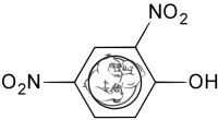 2-4-dinitrophenol-dnp.jpg