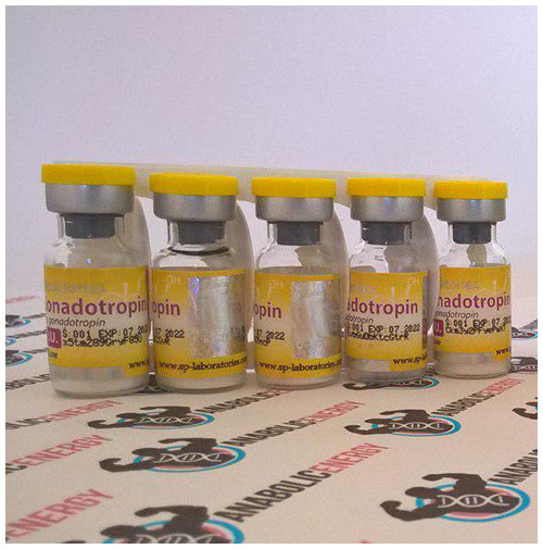 sp-gonadotropin-1000-iu-500x505.jpg