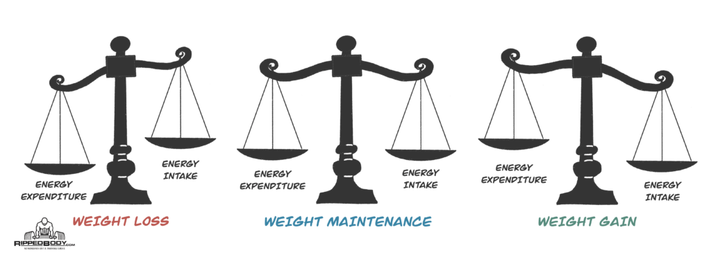 CICO-Scale-Gain-Lose-Maintain-1024x371.png