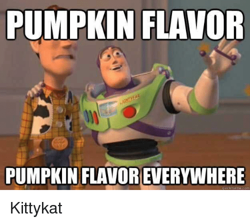 pumpkin-flavor-pumpkin-flavor-everywhere-quichmeme-com-kittykat-28231873.png