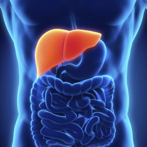 liver-health-2-300x300.jpg