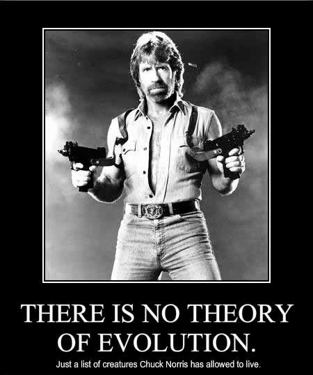 chuck_norris_facts_meme_evolution_theory.jpg