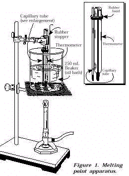 lab7.gif