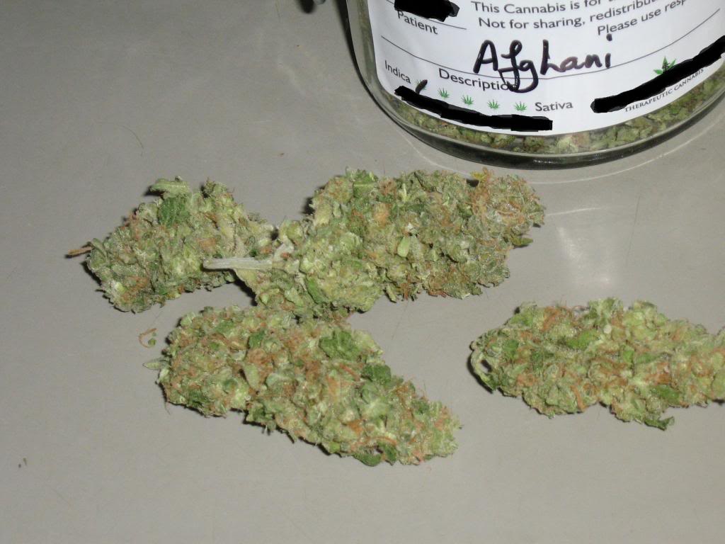 AfghaniIndica2_zpsc807f66c.jpg