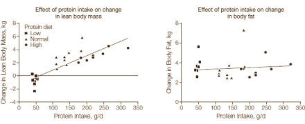 Weight gain from eating more protein: more lean body mass, not more fat