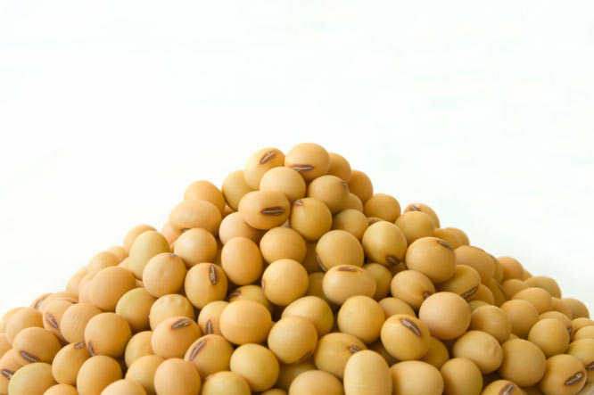 soy-beans.jpg