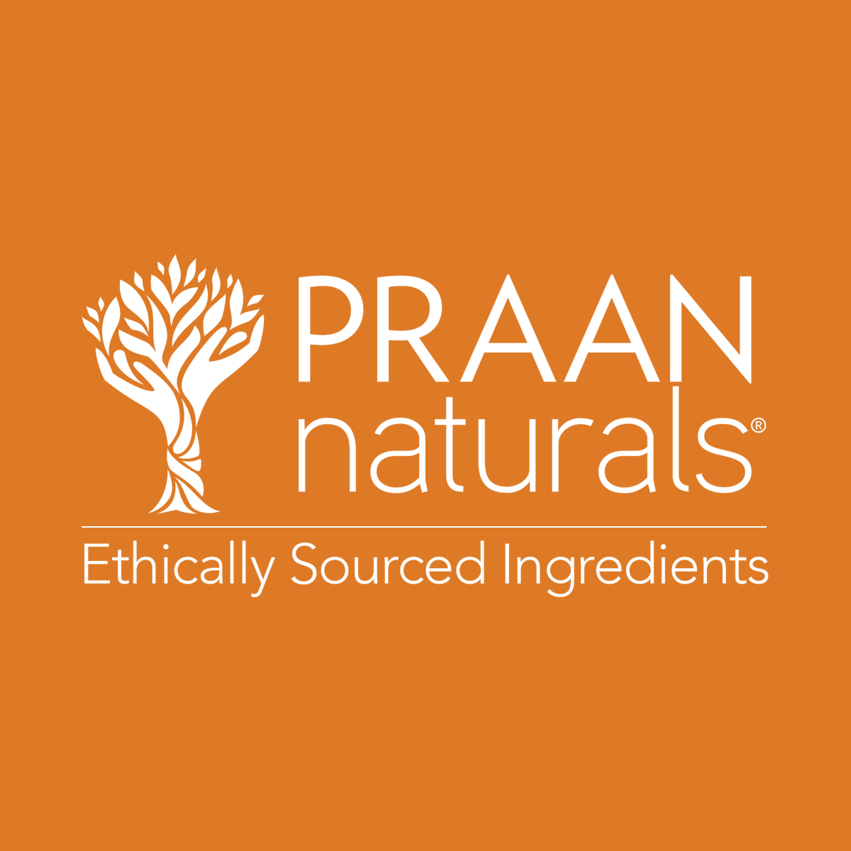 www.praannaturals.com