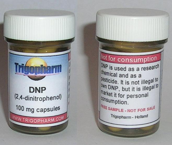 DNP (2,4 dinitrophenol), bodybuilding and fat loss