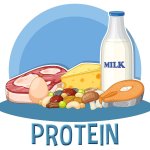 protein