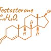 testosterone enzymatic conversions