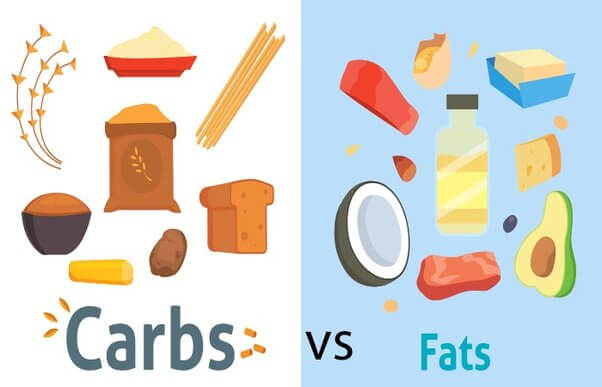 testosterone diet carbs fats