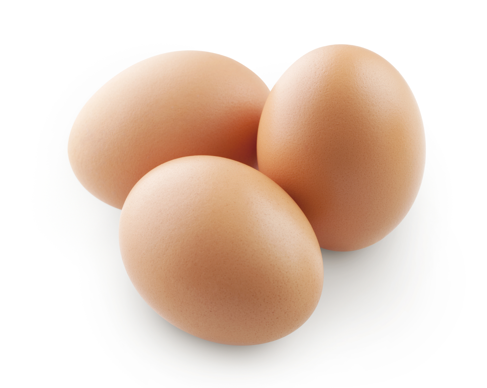 Eggs - protein and cholesterol for bodybuilding