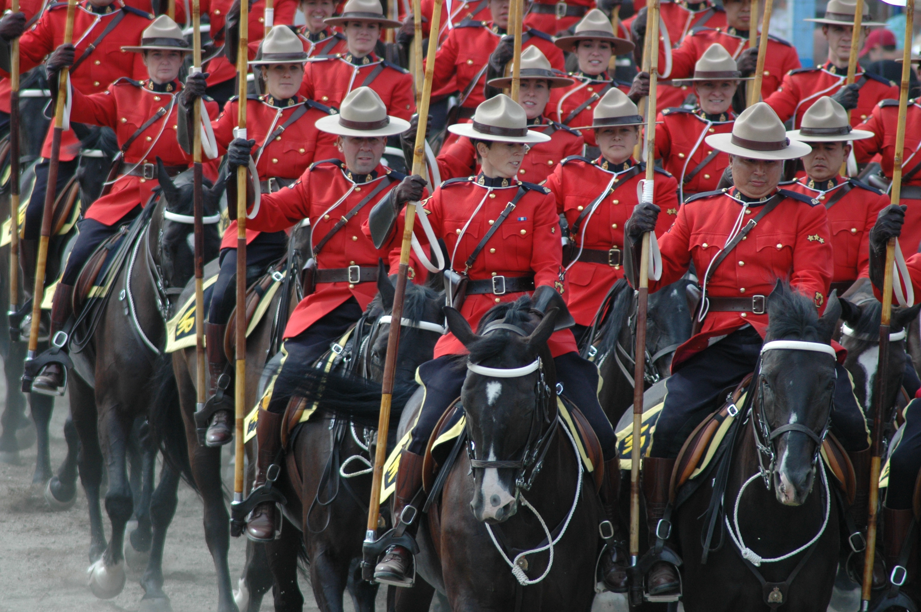 The Royal Canadian Mounted Police (RCMP) and anabolic steroid investigations