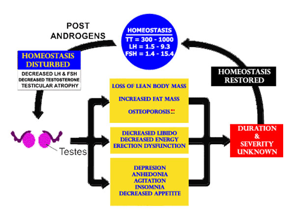 Homeostasis chart