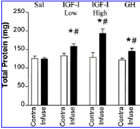 IGF-1 total protein