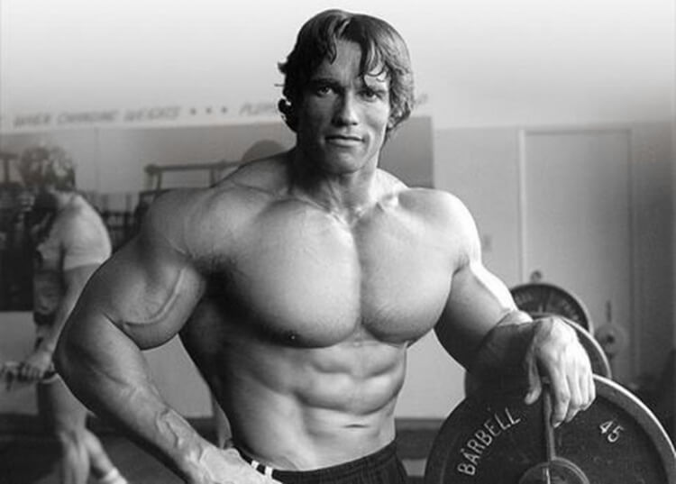 What Type of Steroid Cycles Did Bodybuilders Use During Arnold Schwarzenegger's Time?