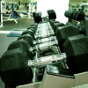 Incorporating Short Steroid Cycles Into a Weight Training Program