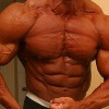 Effectiveness of Anabolic Steroids on Building Different Muscle Groups