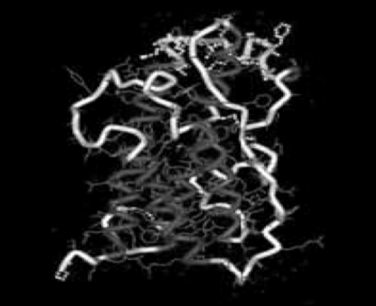 Growth hormone molecule in its correct 22-kDa form