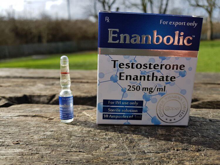 Testosterone enanthate (Cooper Pharma)