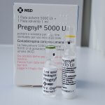 hCG (human chorionic gonadotropin)