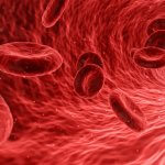 red blood cells and steroids