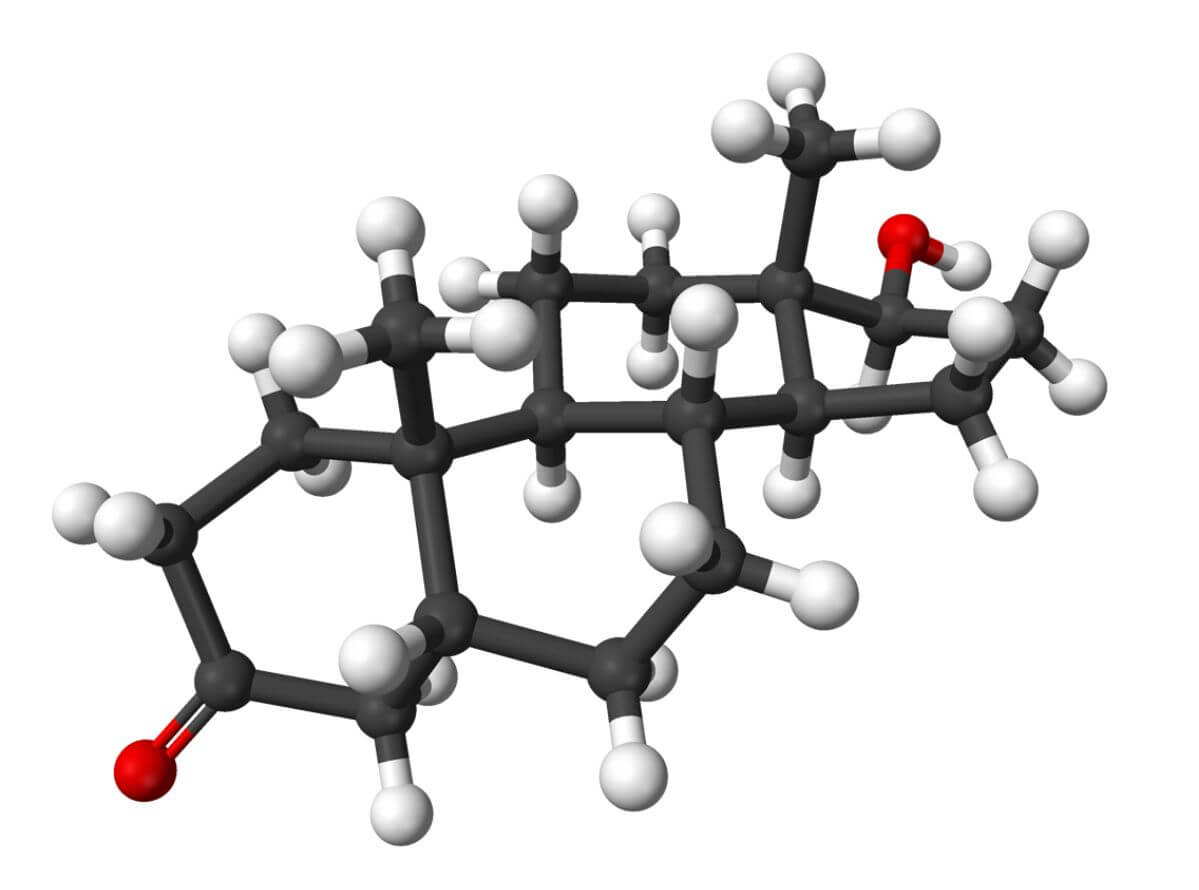 DHT Steroids Profile