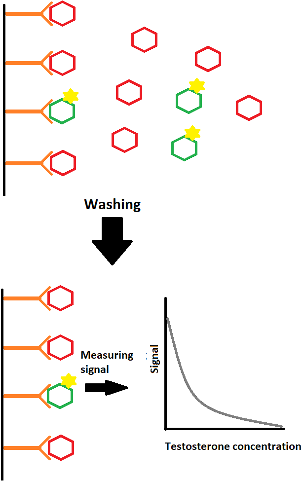 How do immunoassays work for measuring testosterone?