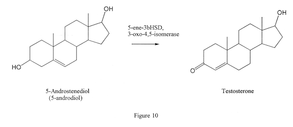 3-oxosteroid-4,5-isomerase converts 5-androdiol to testosterone