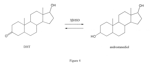 DHT converts to androstanediol