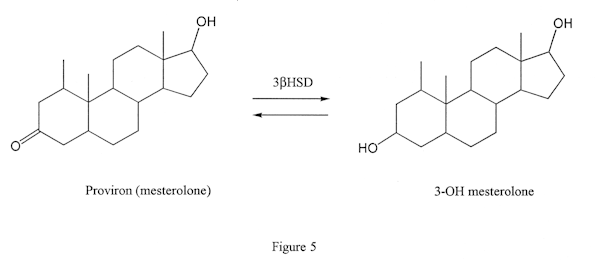 Proviron converts to 3-OH mesterolone