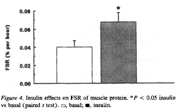 fractional synthesis rate of muscle protein after insulin infusion