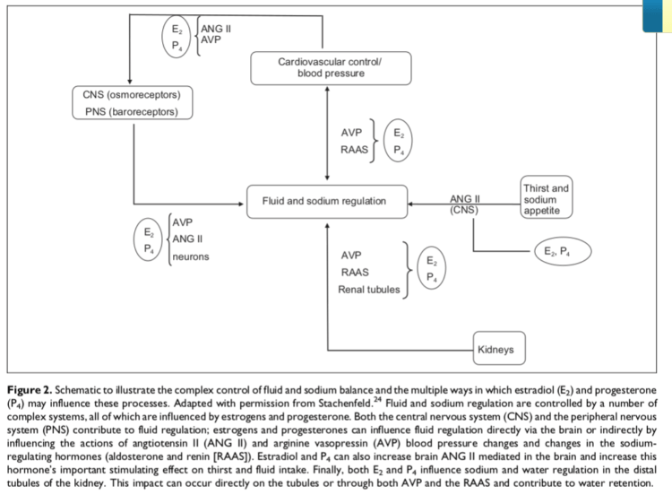 MENT and edema