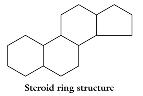 Steroid ring structure